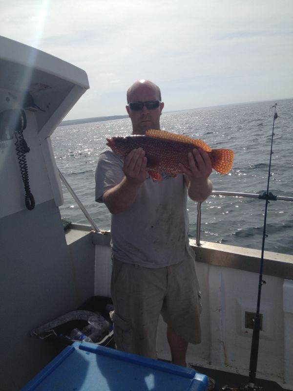 Rock Fishing Trips Cornwall gallery image